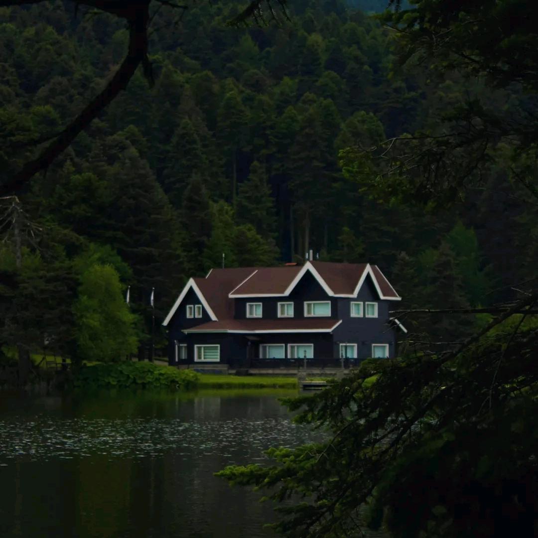 🦋🦋🦋涅槃重生💪💪💪