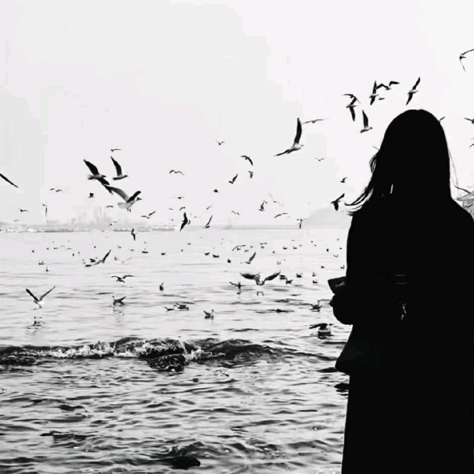 娟妹儿