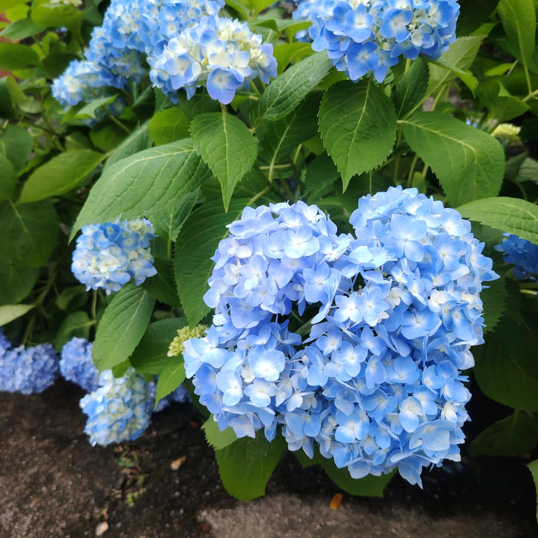 坏蛋是怎样炼成的