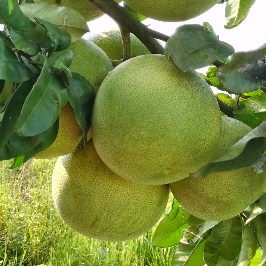 秋天的花朵🌺′