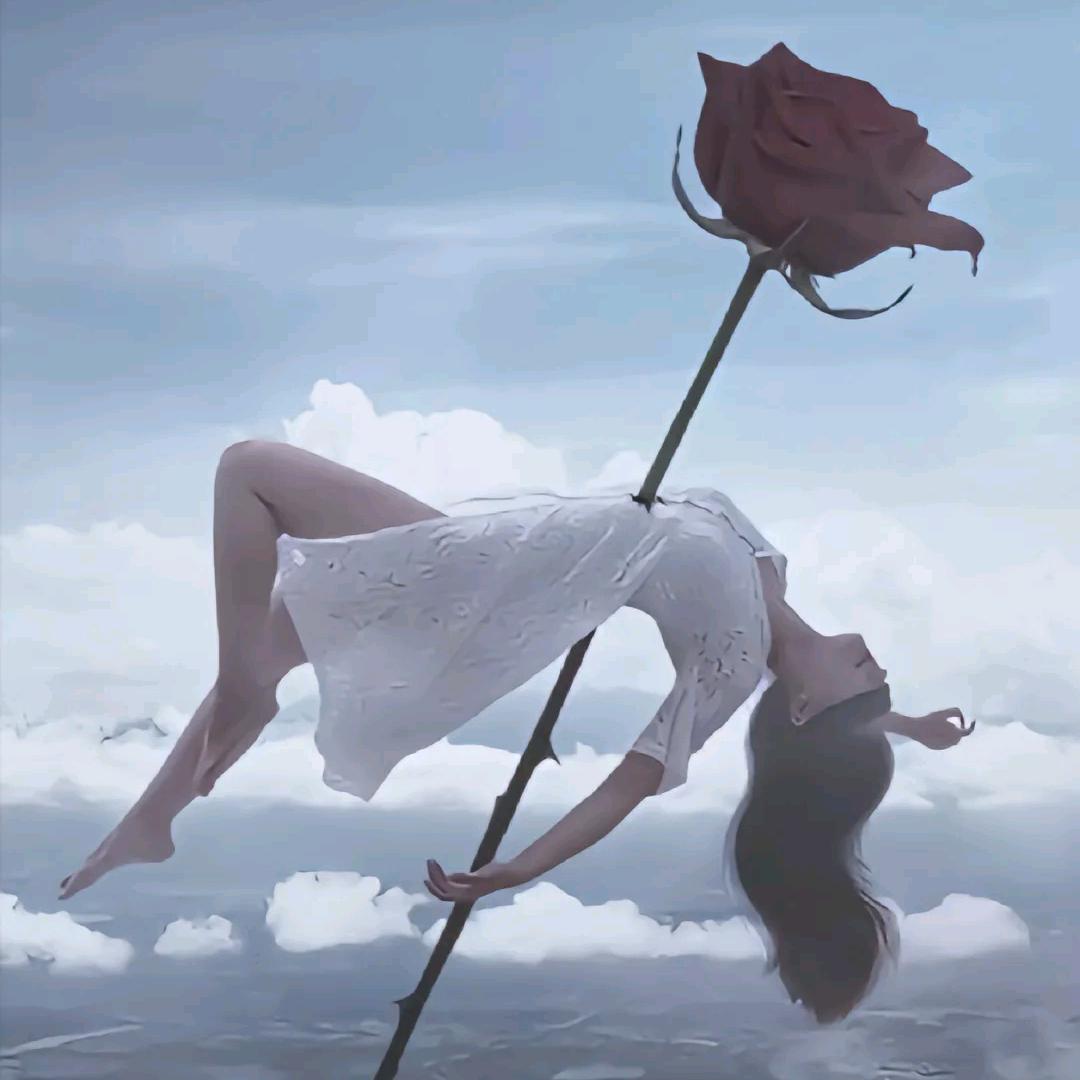 现在只剩下眼泪陪伴