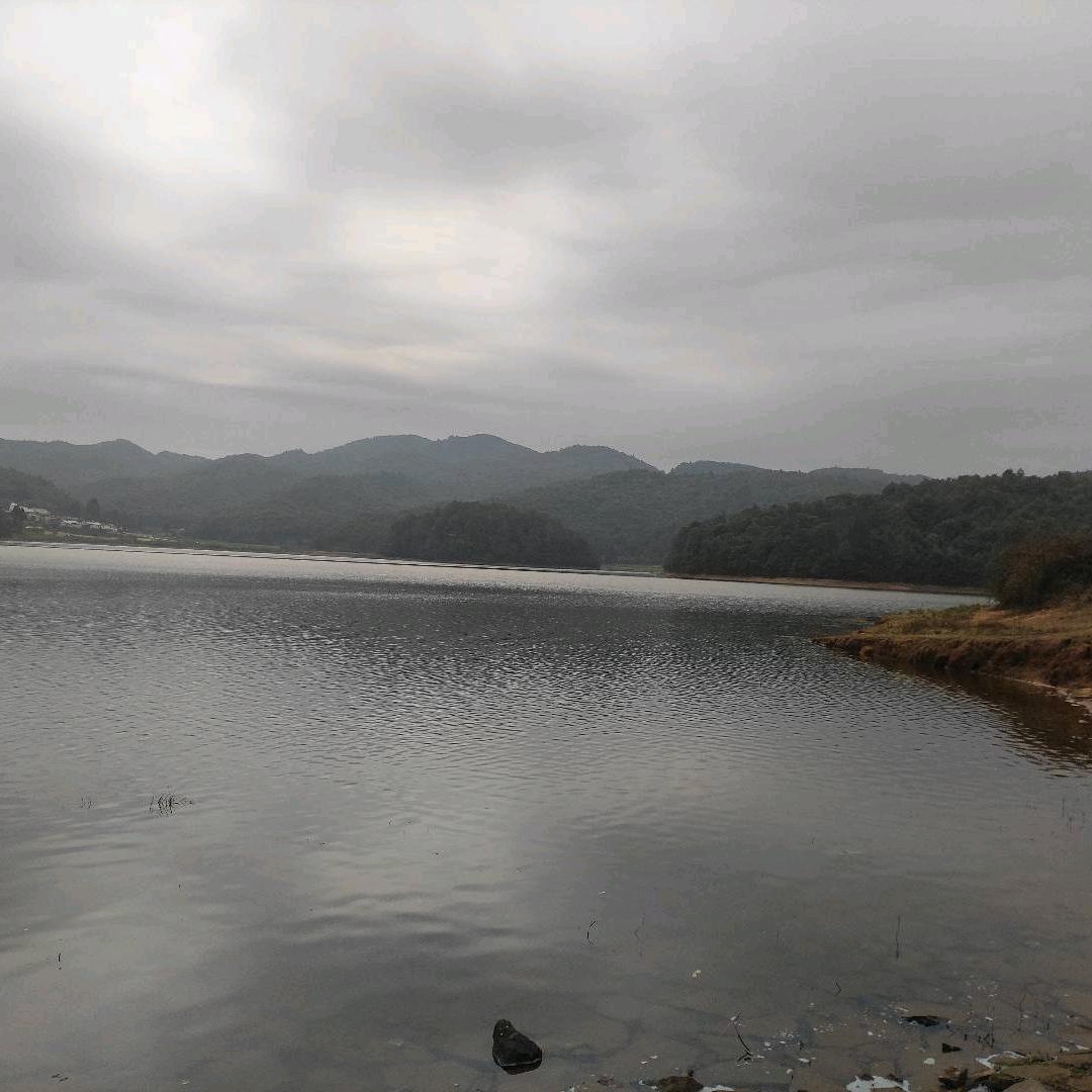 未来日记