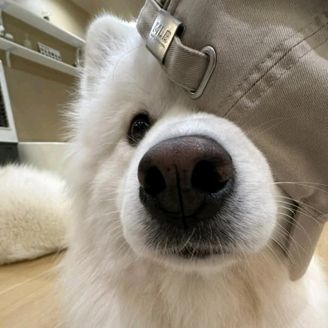 海口龙华源培信息咨询工作室