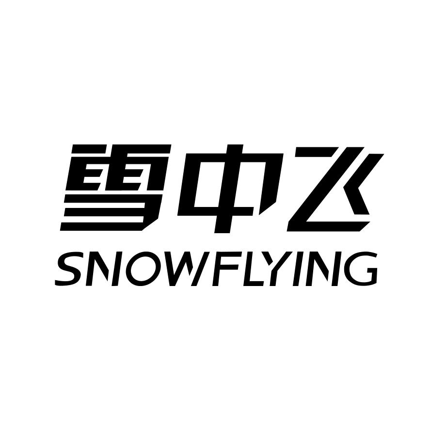 雪中飞旗舰店内衣授权号