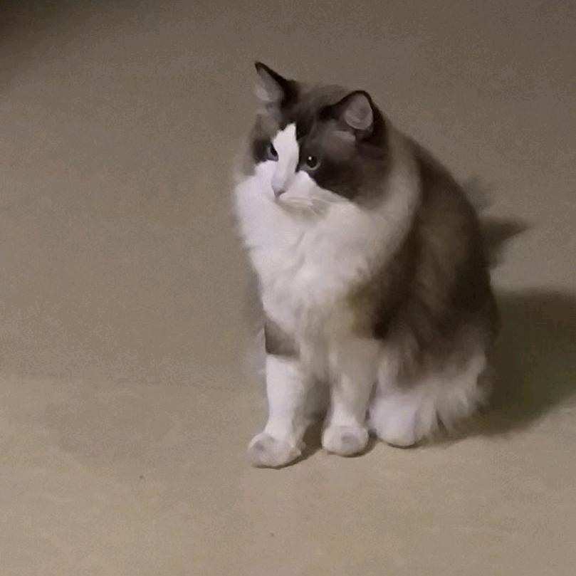 当重生来到恐龙岛世界