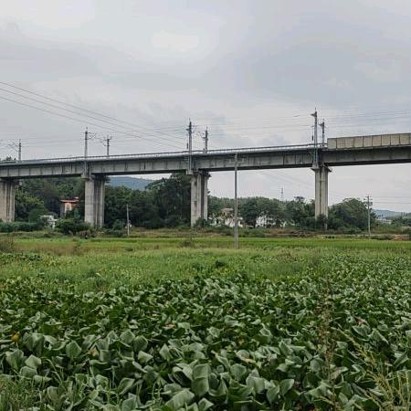 hwxiang