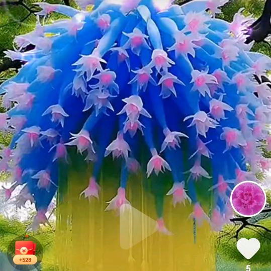感恩