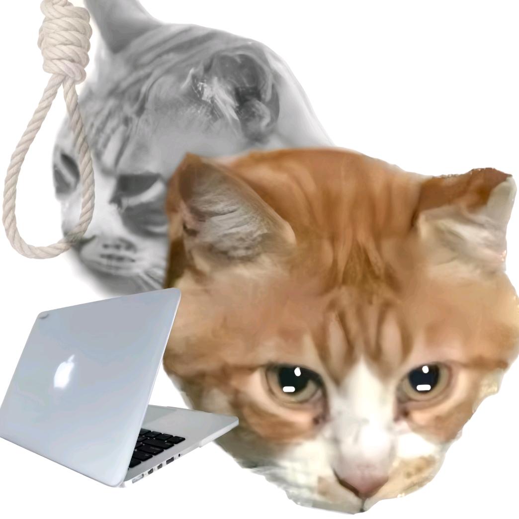 猫写论文