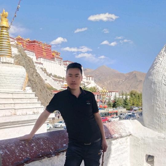 根秋泽批臻选阁