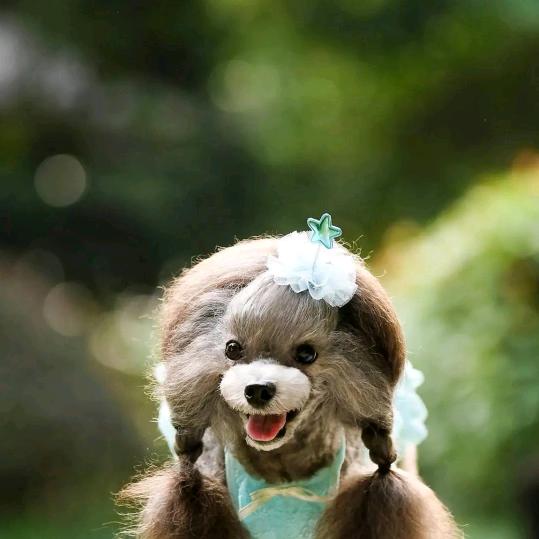 最熟悉的陌生人