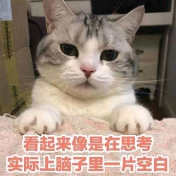 潇洒公子
