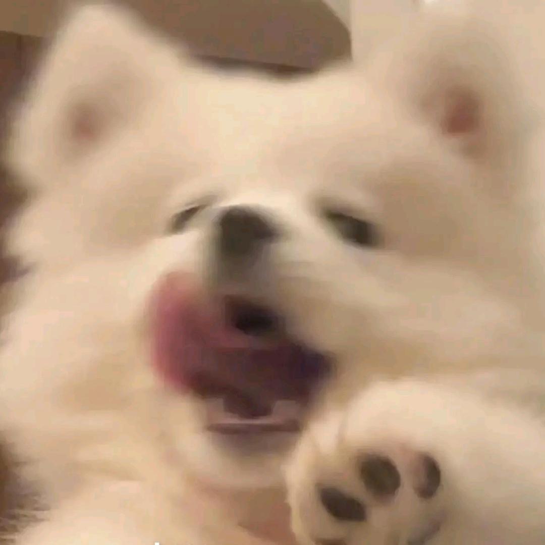 𝓓𝓾𝓬𝓱𝓸𝓷𝓰