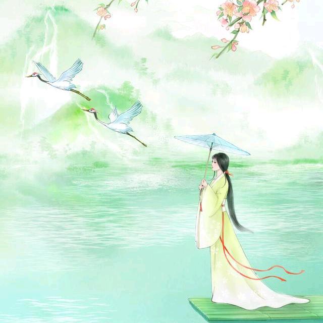 梨花带雪