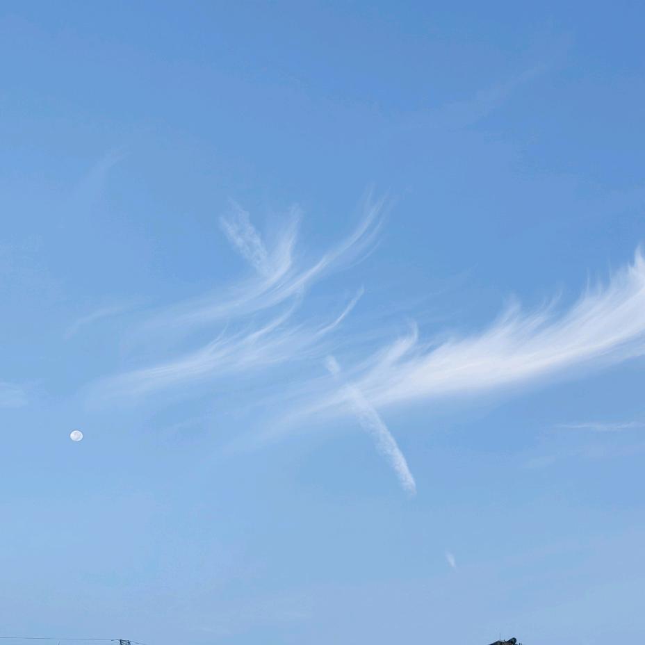 die莲爱玩乐