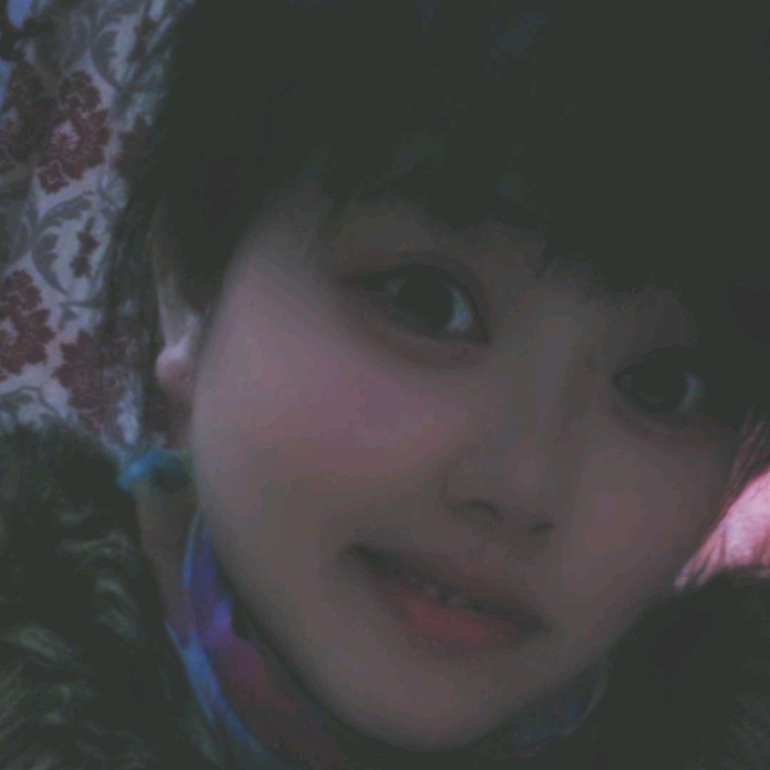 春天的梅