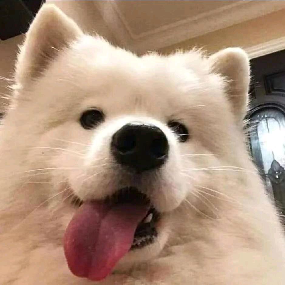 卍