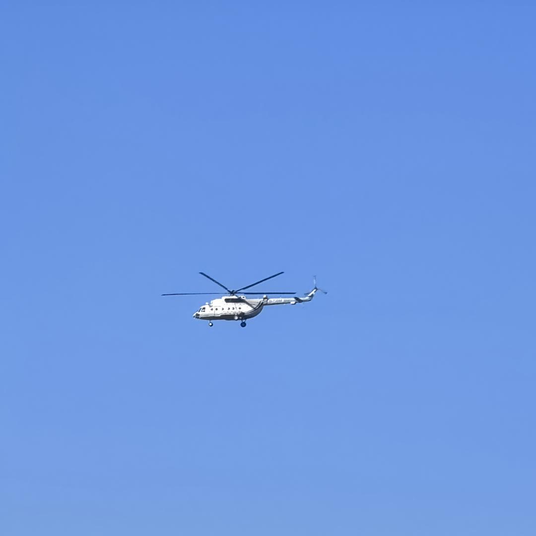 🇨🇳 金子🇨🇳