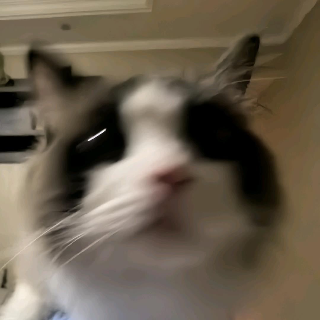 送你一朵小发发