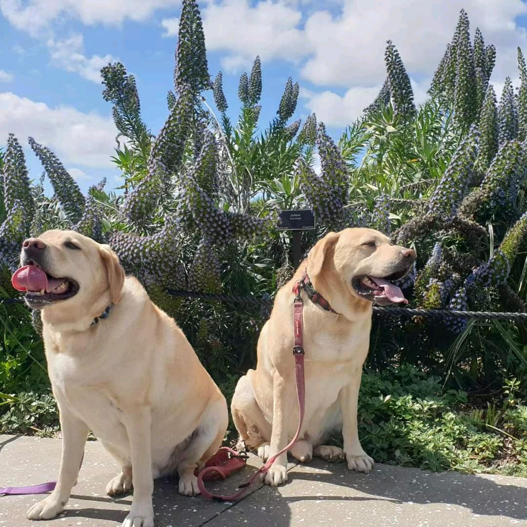 🌬 ღAndy᭄ꦿ🕊