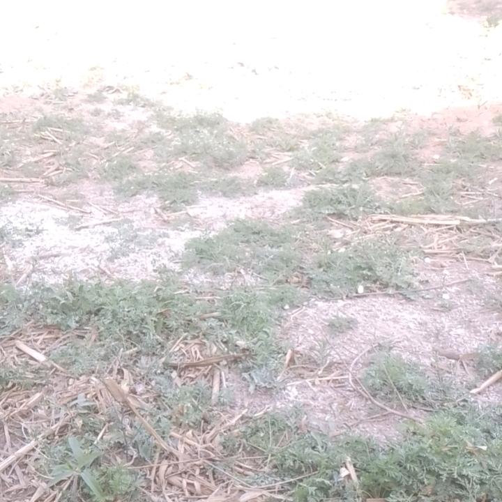 人生