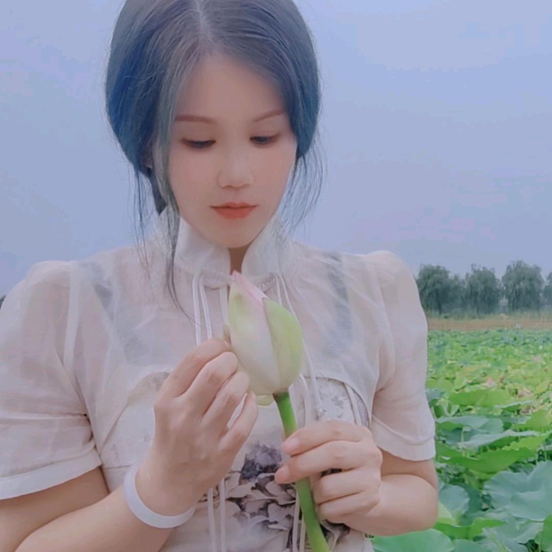 鸢尾花