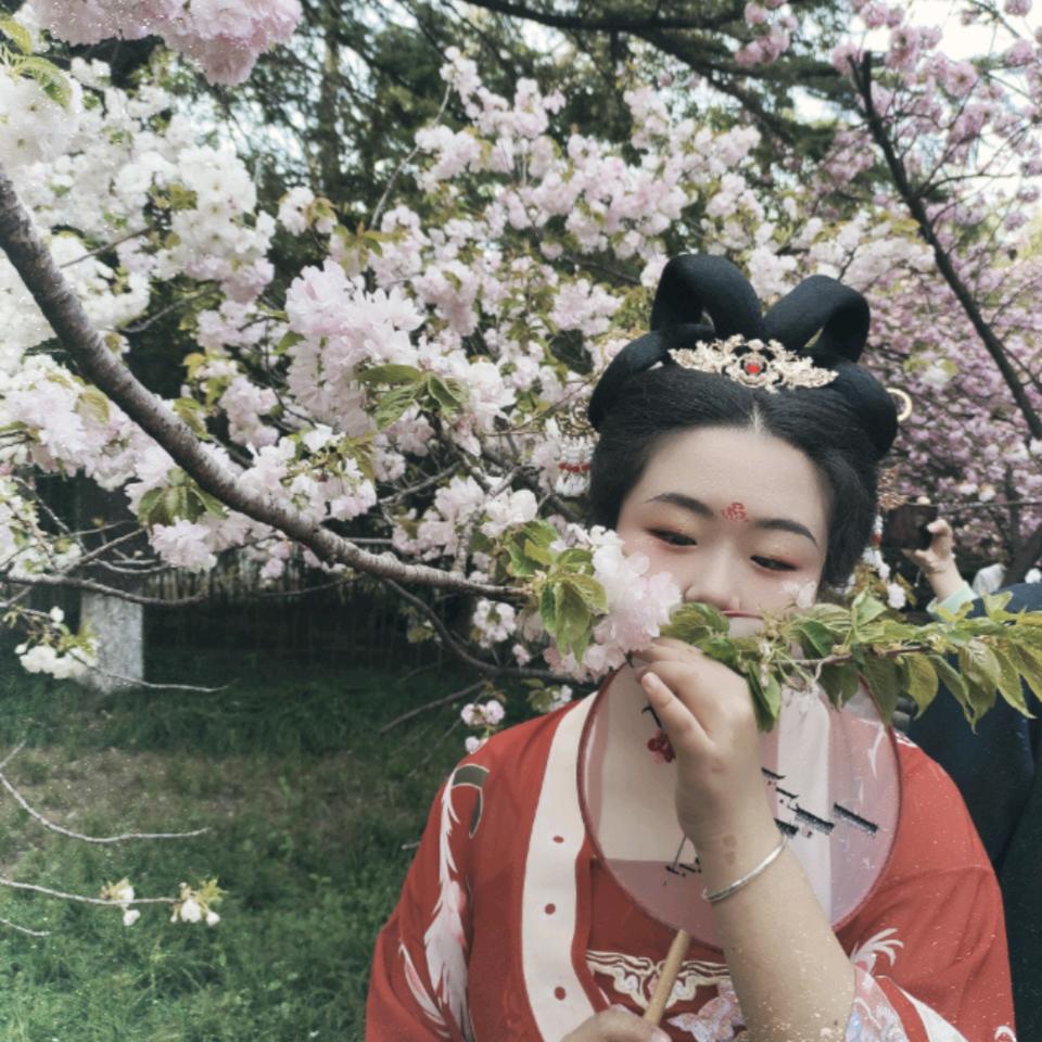 ZYN@楠宝