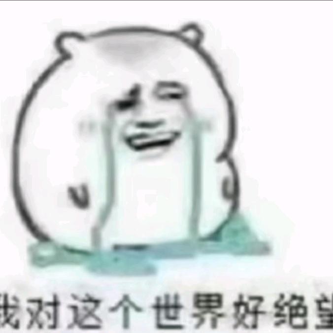 小贤🐾