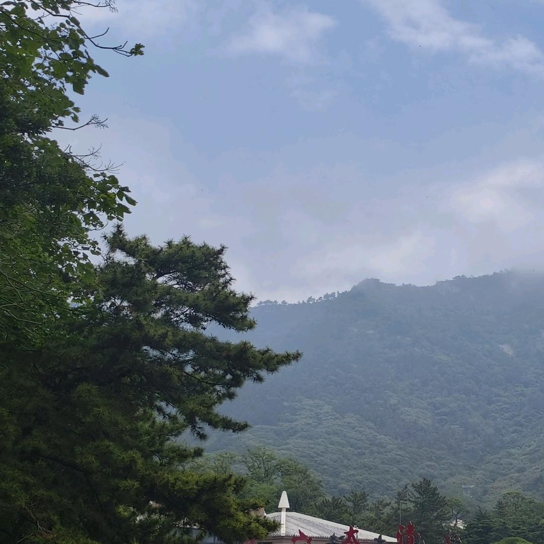 高  兴