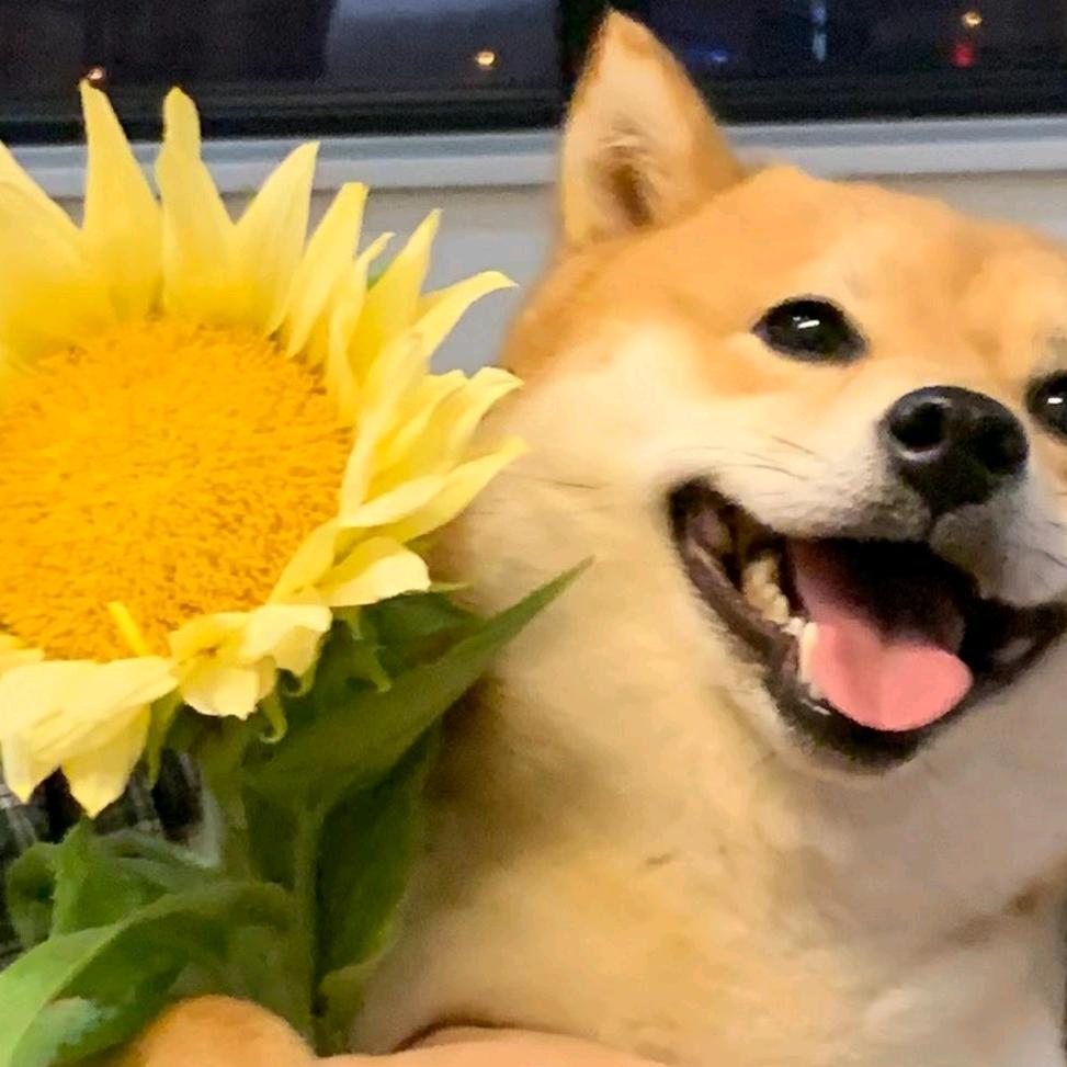 二三与十九