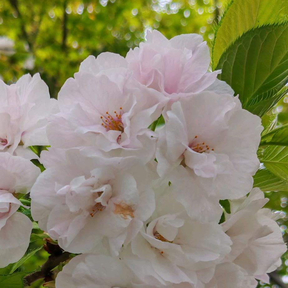 什么治愈发什么