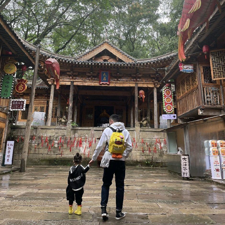 杨杨杨zL🫖