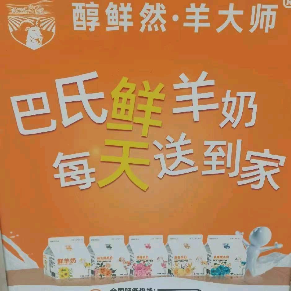 羊大师巴氏鲜羊奶