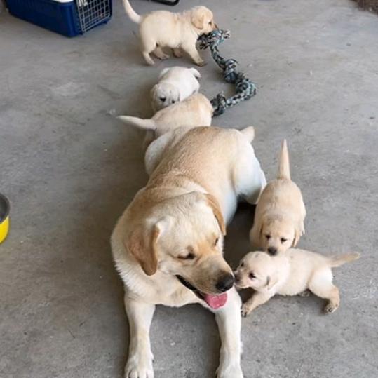 🌈🌈花果之城