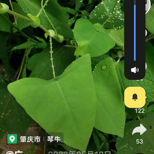 两岸新