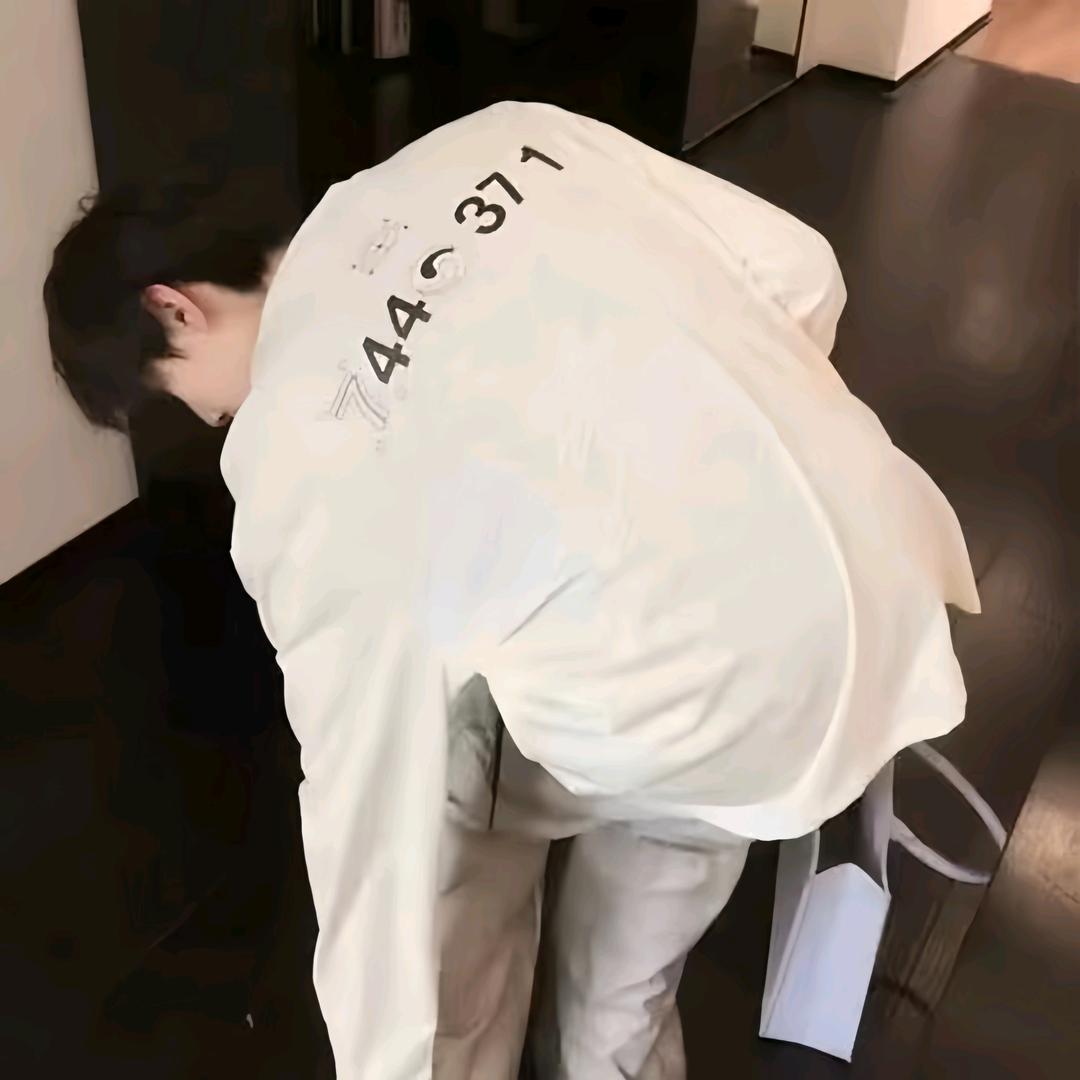 会弹吉他的猫