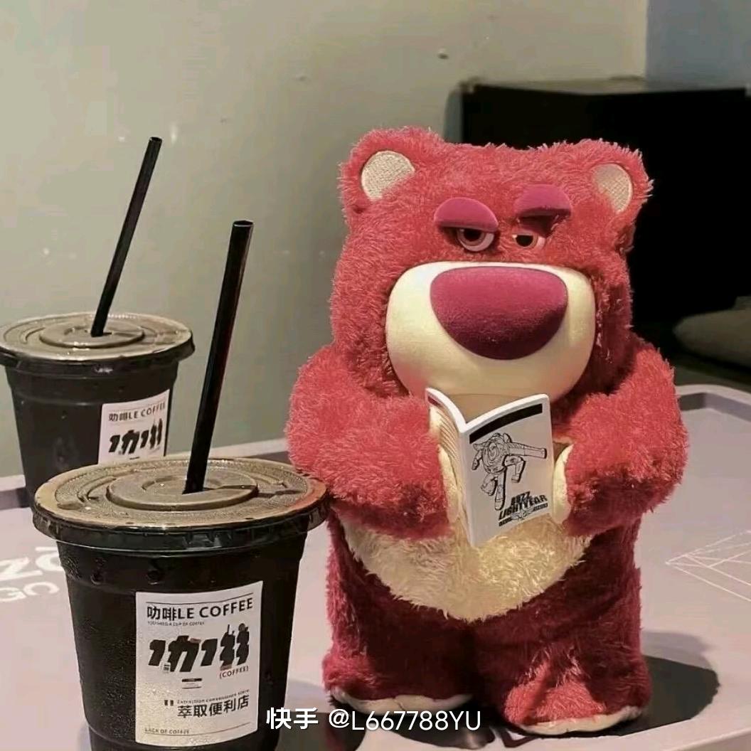 你好猪猪