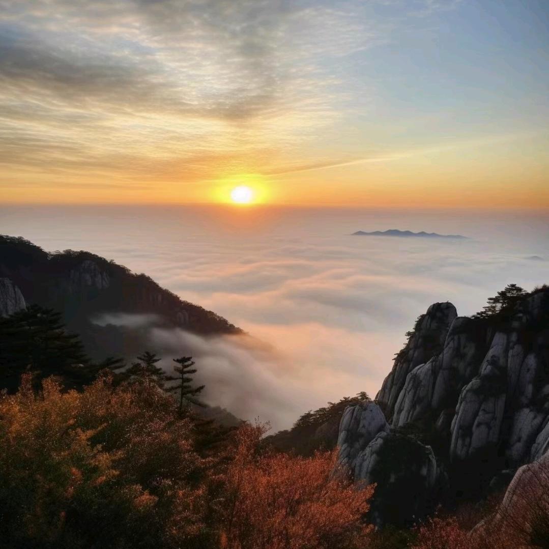 饶东梅
