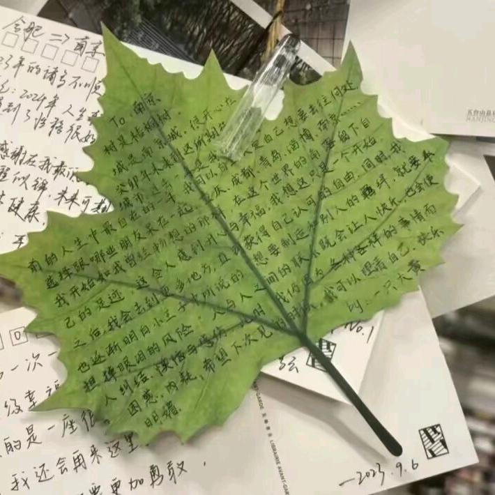 落叶