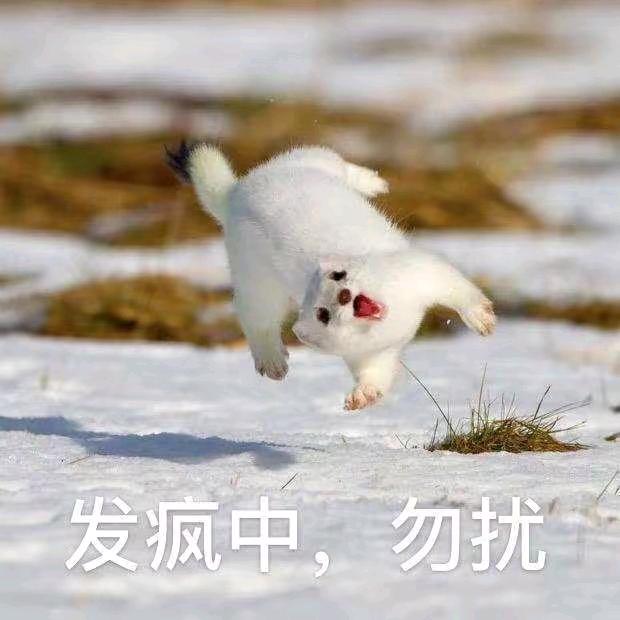 嘻嘻不嘻嘻