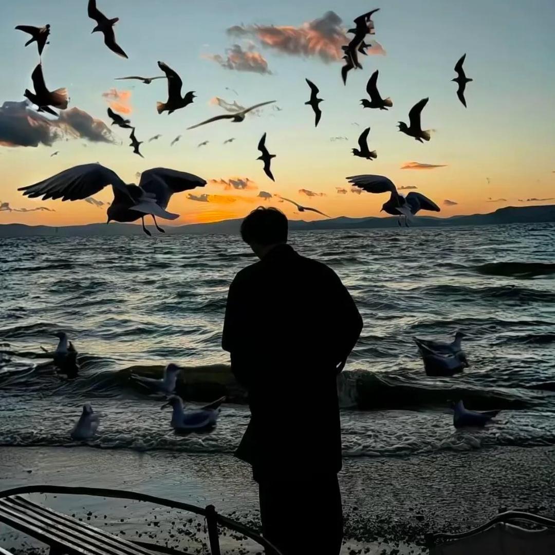 不许人间见白头。