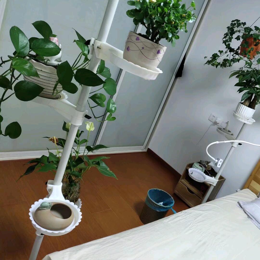 青春不是十七画