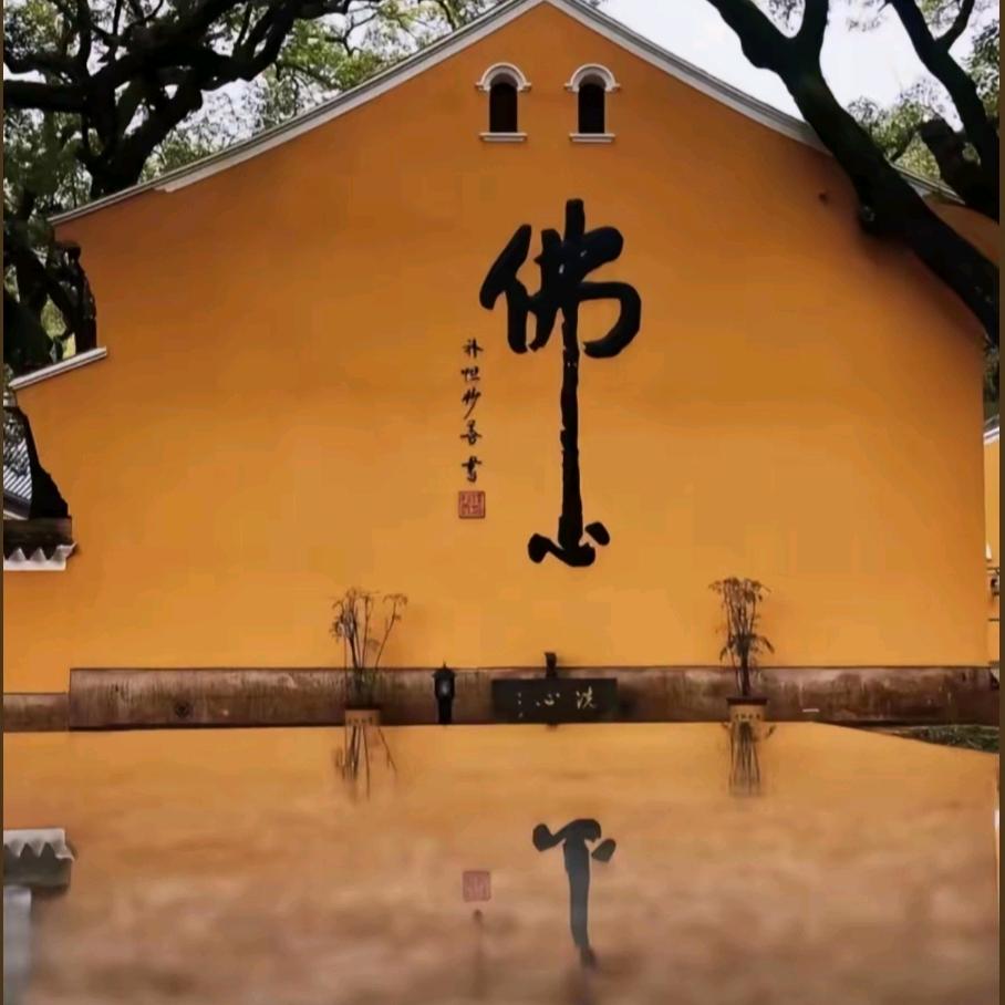 🙏🏼一个人挺好