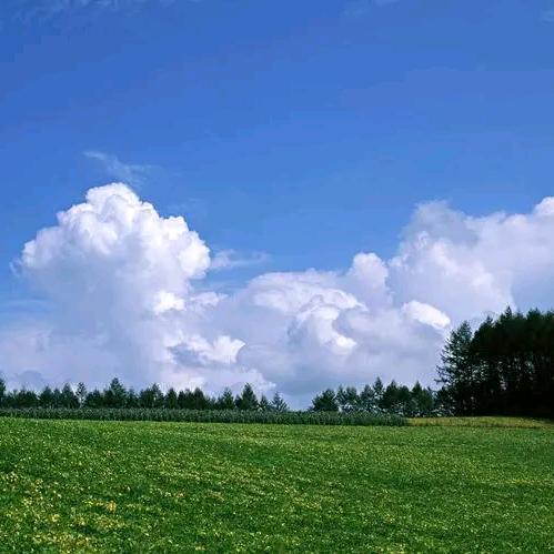 🐲 锋芒 🇨🇳