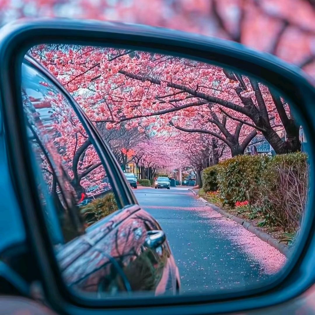 ꦿྀ: ᝰꫛ时来ಇ᭄运转: ꦿྀ: ᝰ