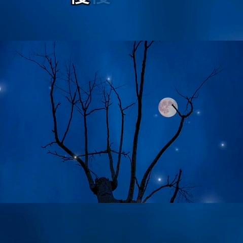 我的世界你不懂