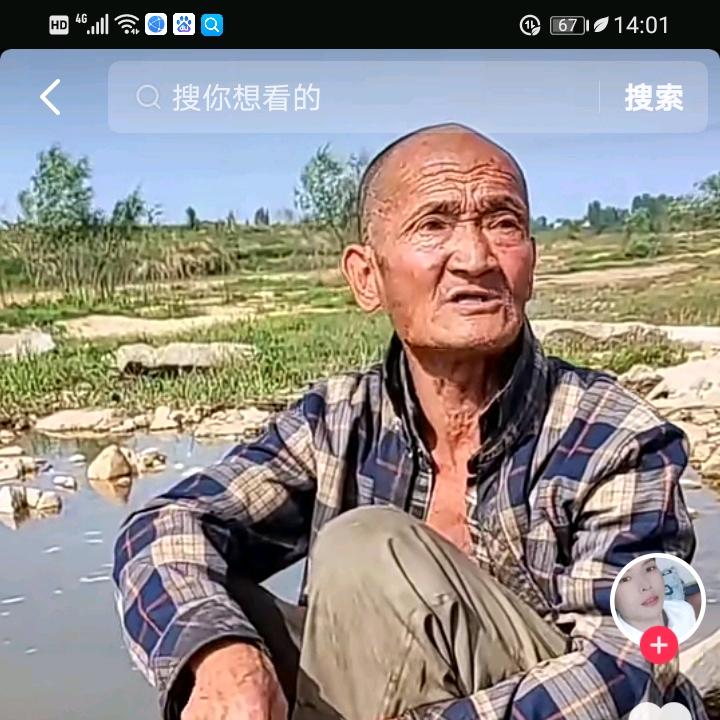 滥情的紫云英