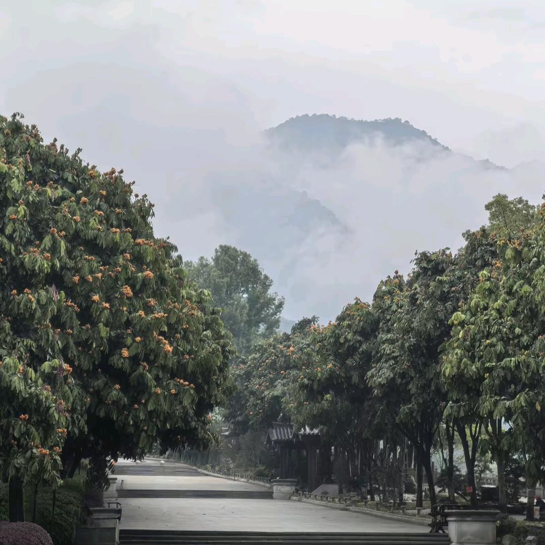 随缘阁