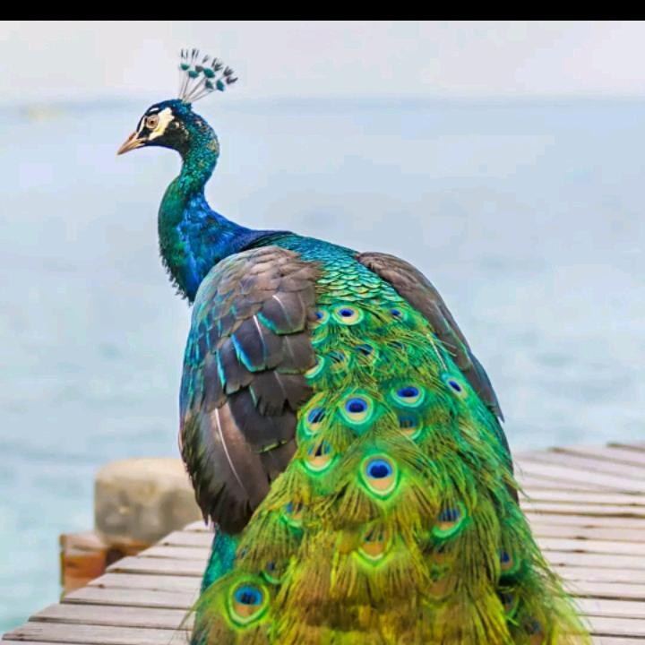 以恩