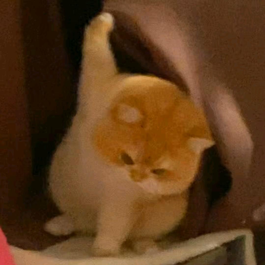 青青~