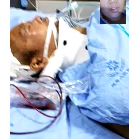 鱼死网破